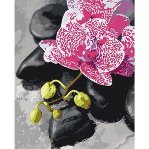Peinture par numéros - Pink Orchid