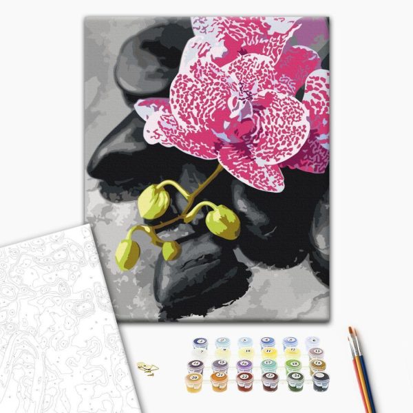 Peinture par numéros - Pink Orchid