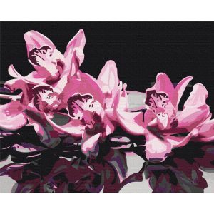 Peinture par numéros - Pink Orchid (Black Background)