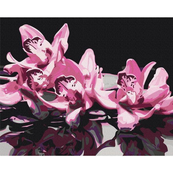 Peinture par numéros - Pink Orchid (Black Background)
