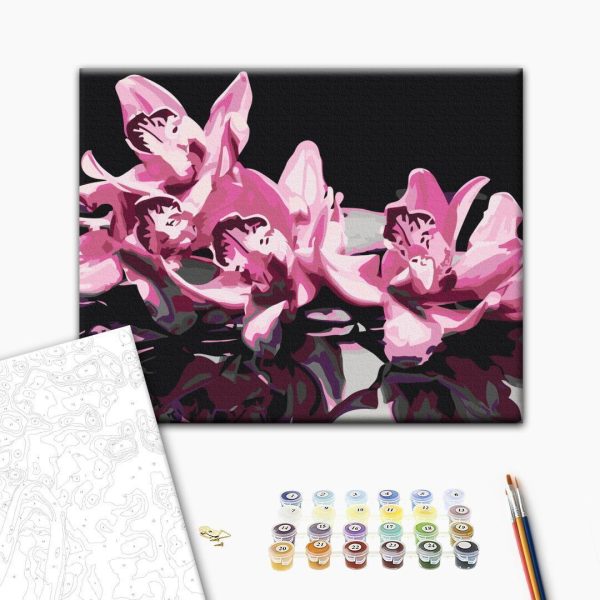 Peinture par numéros - Pink Orchid (Black Background)