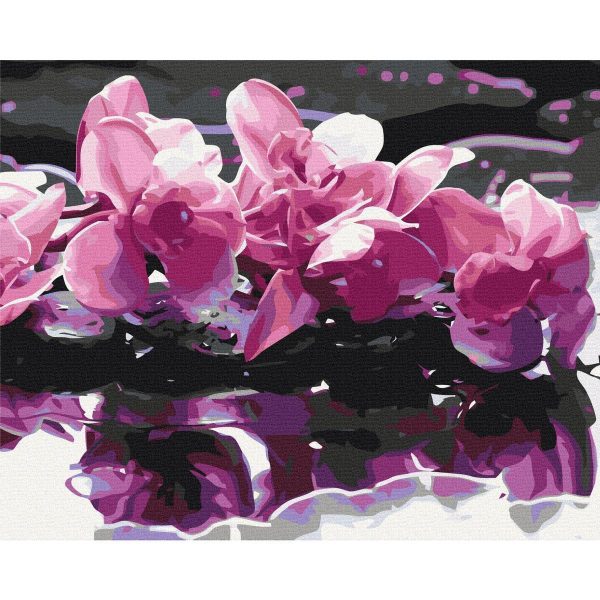 Peinture par numéros - Purple Orchid