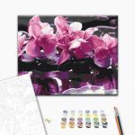 Peinture par numéros - Purple Orchid