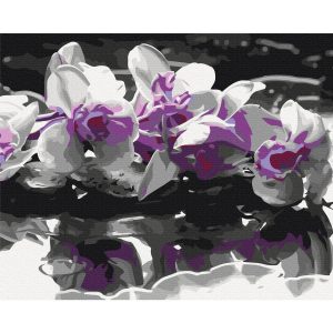 Peinture par numéros - Purple Orchid (Black Background & Reflection In The Water)