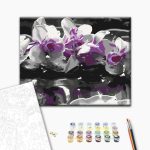 Peinture par numéros - Purple Orchid (Black Background & Reflection In The Water)