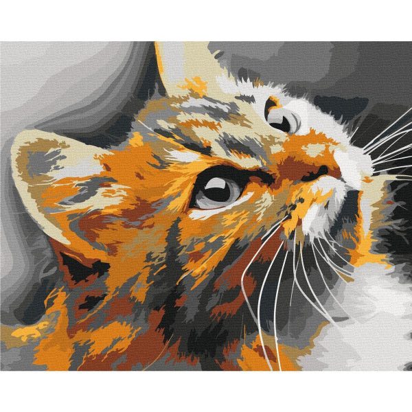 Peinture par numéros - Red Cat