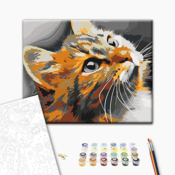 Peinture par numéros - Red Cat