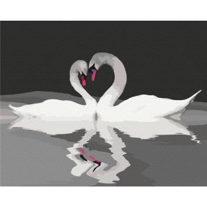 Peinture par numéros - Swan Couple