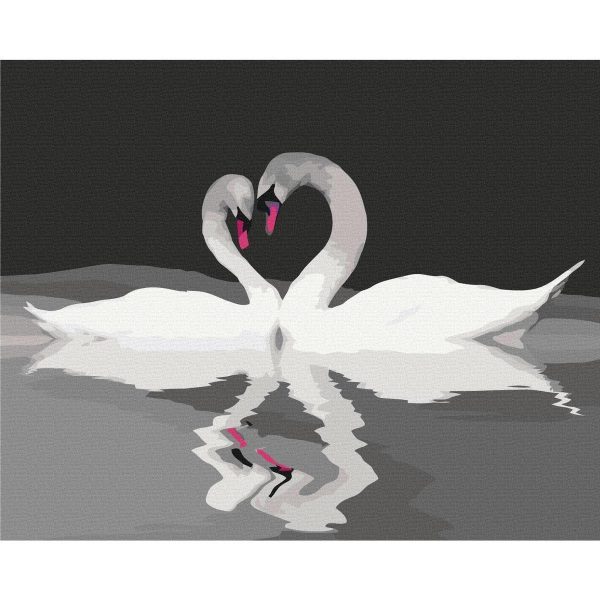 Peinture par numéros - Swan Couple