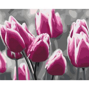Peinture par numéros - Tulip Field