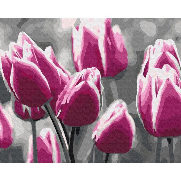 Peinture par numéros - Tulip Field