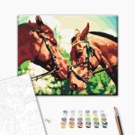 Peinture par numéros - Two Horses