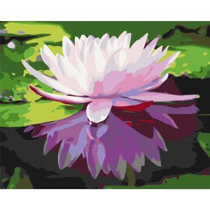 Peinture par numéros - Water Lily
