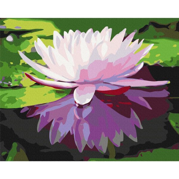 Peinture par numéros - Water Lily