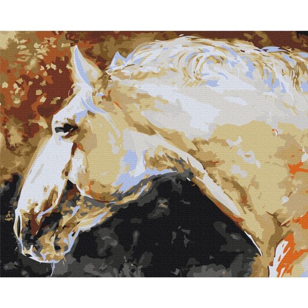 Peinture par numéros - White Horse