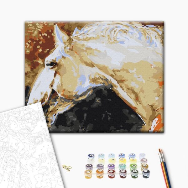 Peinture par numéros - White Horse