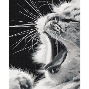 Peinture par numéros - Yawning Kitten