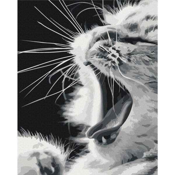 Peinture par numéros - Yawning Kitten