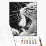 Peinture par numéros - Yawning Kitten